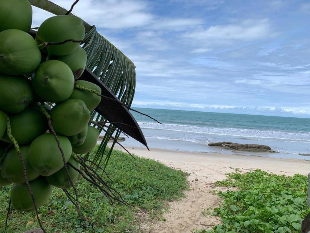 Casa No Paraiso Dos Carneiros Em Tamandaré Kültér fotó